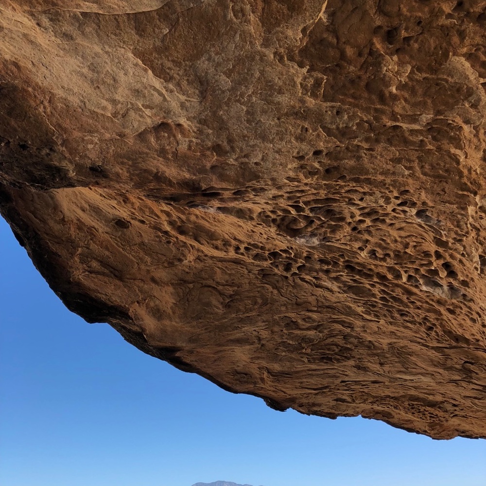 Meet your Posher, Joy